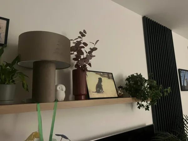 OUTLET Zestaw 3 półek wiszących Różowy: 2× 40×20 cm + LED 60×25 cm (uszkodzenia mechaniczne)