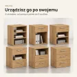 Kontenerek pod biurko - Dąb Evoke