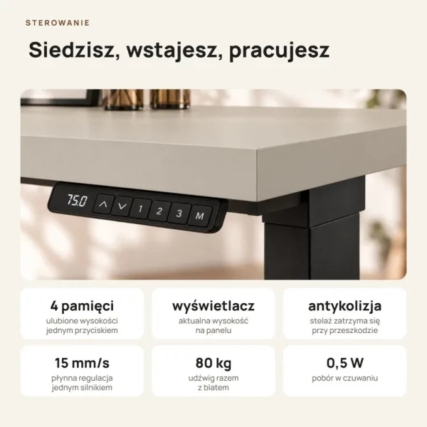 Biurko z elektryczną regulacją wysokości - Kaszmir
