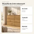 Płytka komoda 120 cm z 6 szufladami, 30 cm głębokości – Dąb Artisan