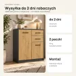 Komoda 74 cm z 2 drzwiczkami i 2 szufladami – Antracyt / Dąb Artisan