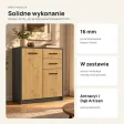 Komoda 74 cm z 2 drzwiczkami i 2 szufladami – Antracyt / Dąb Artisan