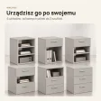 Kontenerek pod biurko - Szary