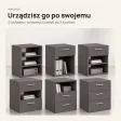 Kontenerek pod biurko - Grafit