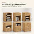 Kontenerek pod biurko - Dąb Złoty