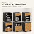 Kontenerek pod biurko - Czarny/ Dąb Złoty
