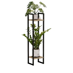 Kwietnik loftowy dąb crenoma