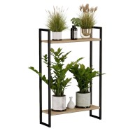 Kwietnik loftowy dąb crenoma 