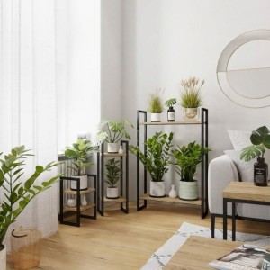 Kwietnik loftowy dąb crenoma