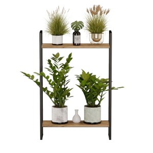 Kwietnik loftowy dąb wotan