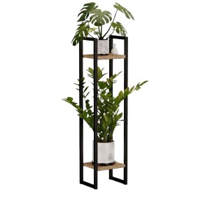 Kwietnik loftowy dąb wotan