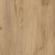 dekor-02-D_b_Z_oty_-_K003_PW.jpg