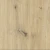 Dąb_Artisan.webp