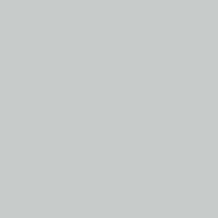 Szary_Popiel.webp