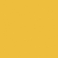 Żółty.webp