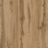 Dąb_Wotan.webp