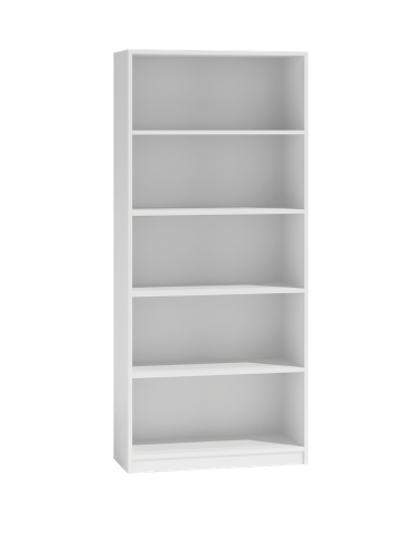 R60-BIEL-1.png