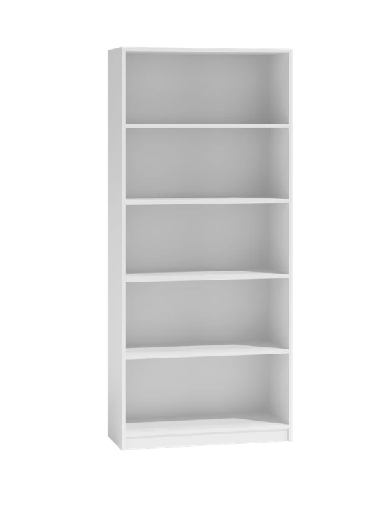 R60-BIEL-1.png