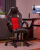 enzo.png