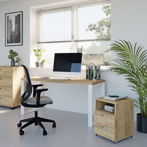 Kontenerek-dąb złoty wiz1 (1).jpg