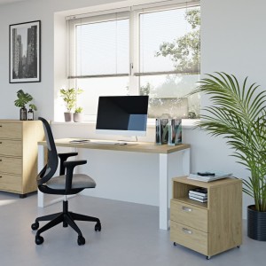 dąb kamienny wiz1 (1).jpg