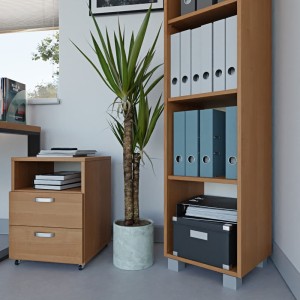 Regał biurowy -olcha yrke (2).jpg