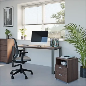 wenge_wiz biuro 2 .webp