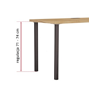 dąb złoty_noga wymiar.jpg