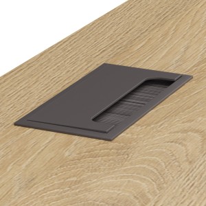 dąb kamienny_przelotka_prostokąt.jpg