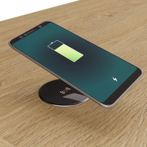 dąb kamienny_ładowarka_2.jpg