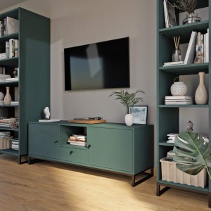 Szafka RTV metalowa z szufladą zielona - kolekcja Metalove (6).jpg