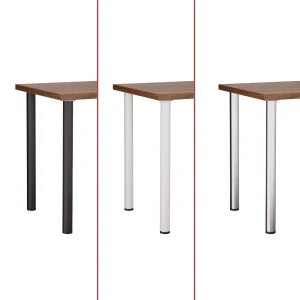 orzech_kolory-nog (2).webp