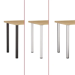 dab-zloty_kolory-nog (1).webp