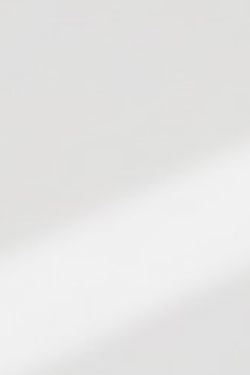 Biały Połysk 868S MG